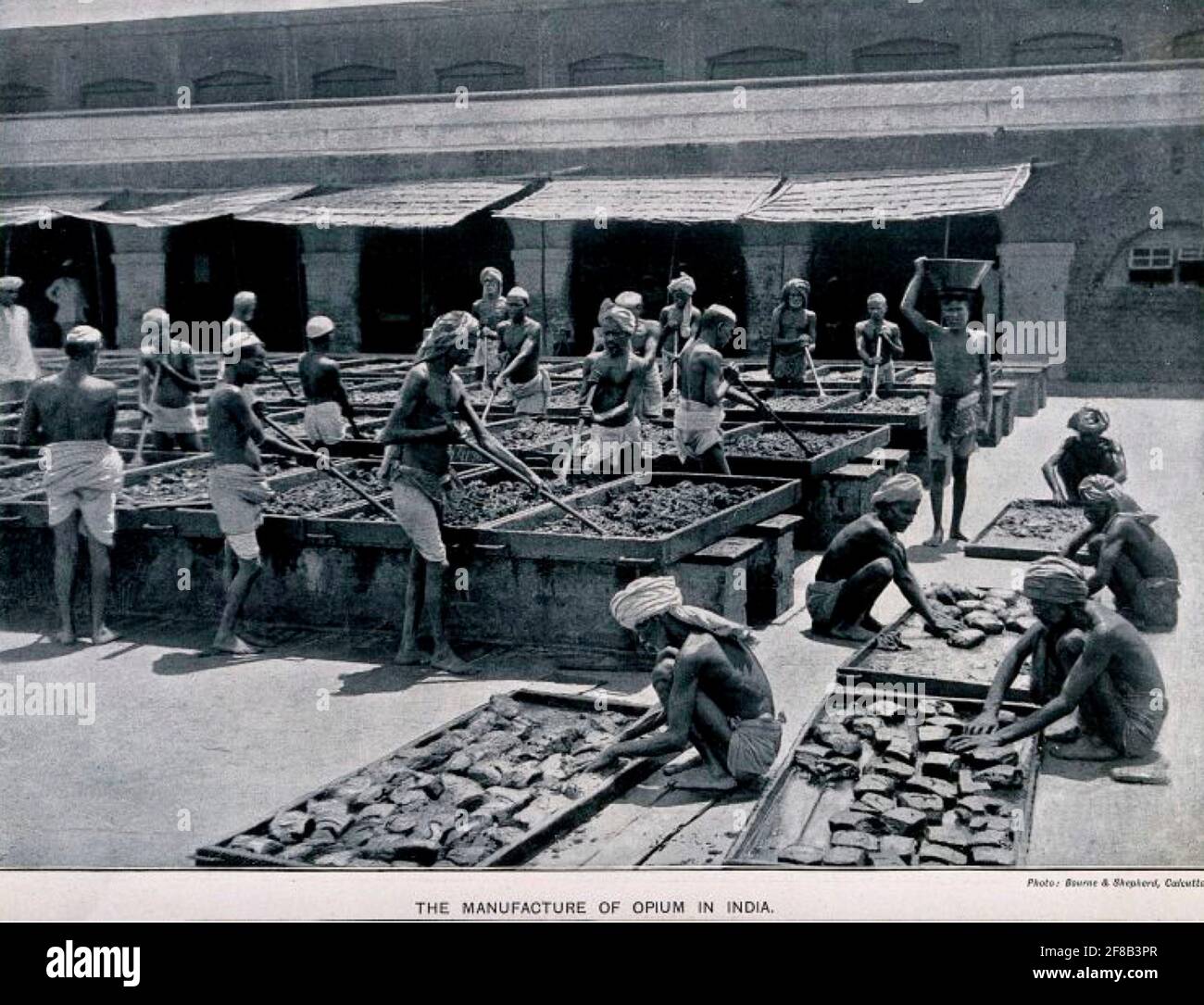 Anfang 1900 Foto der Opiumherstellung in Indien. Stockfoto