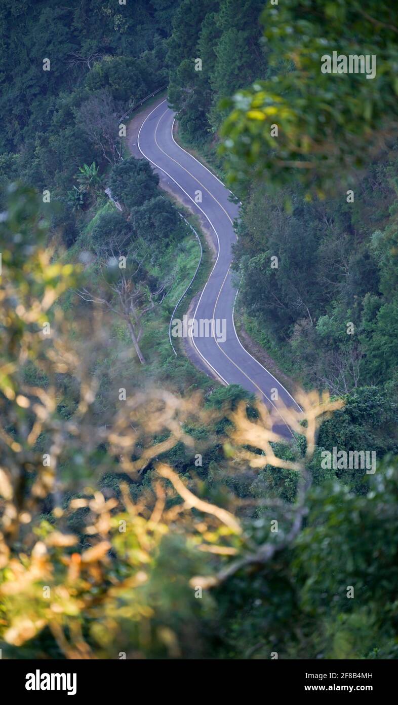 Kurvenstraße im Wald Stockfoto