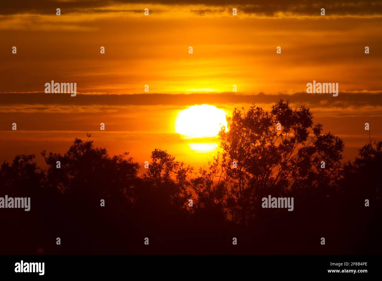 Sonnenaufgang zur Sommersonnenwende, 21. Juni. Die kürzeste Nacht und der längste Tag in Nordeuropa Stockfoto