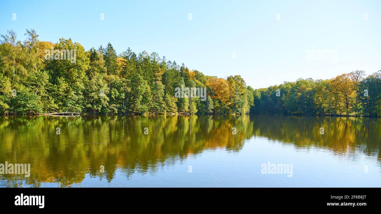 Herbst im Stirin Castle Park Stockfoto