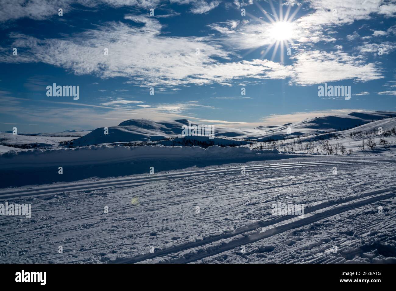 Langlaufloipen in nordischem Bergland. Stockfoto