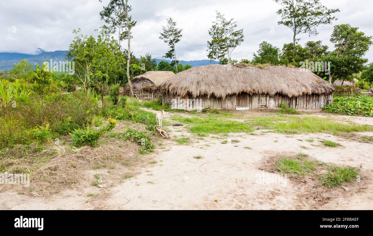Traditionelles Dani-Dorf in Papua-Neuguinea, Indonesien. Stockfoto