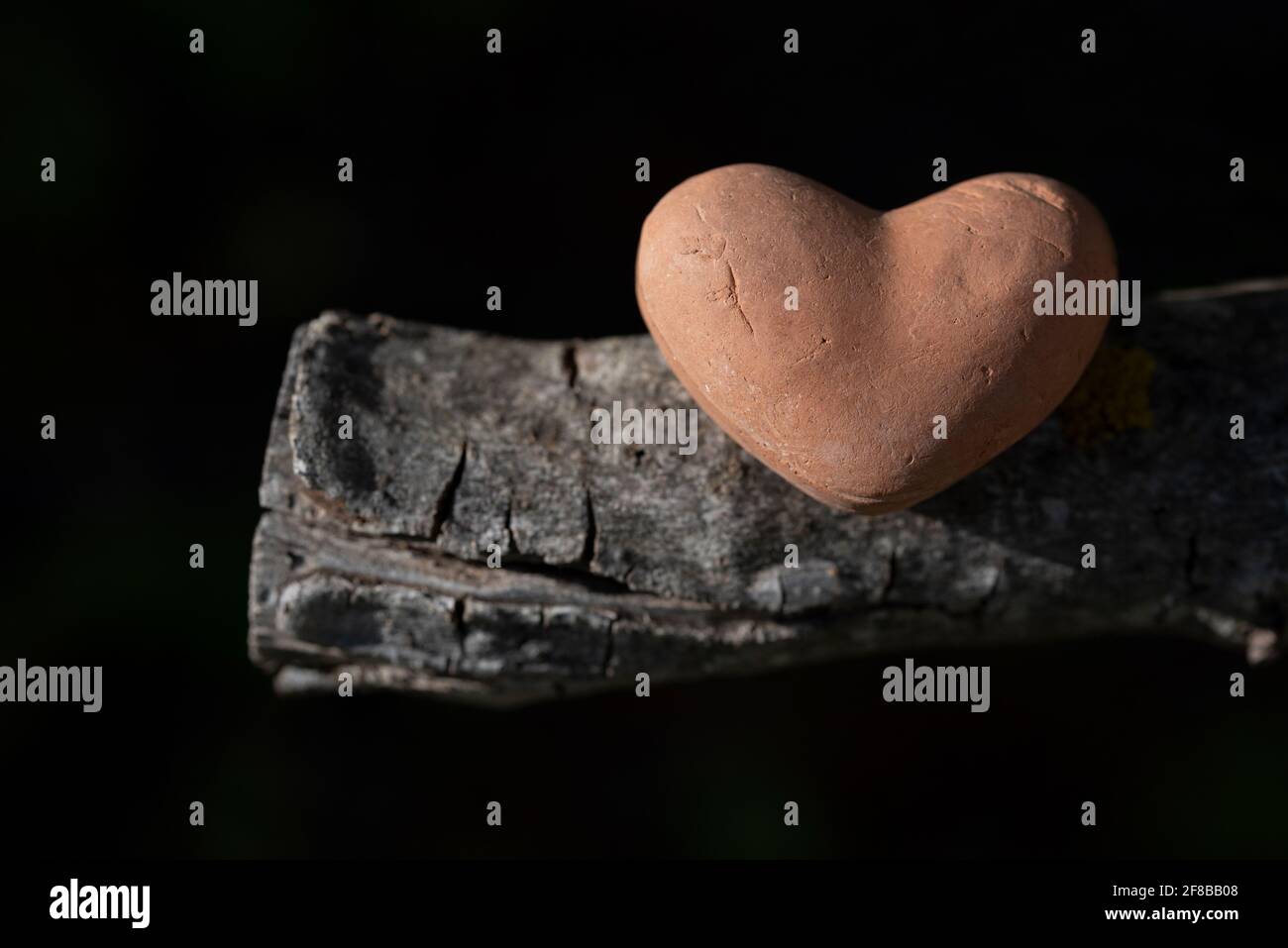 Nahaufnahme eines irdenen Herzens, das auf einem trockenen Stück Holz liegt, vor einem dunklen Hintergrund mit grünen Flecken von Blättern Stockfoto