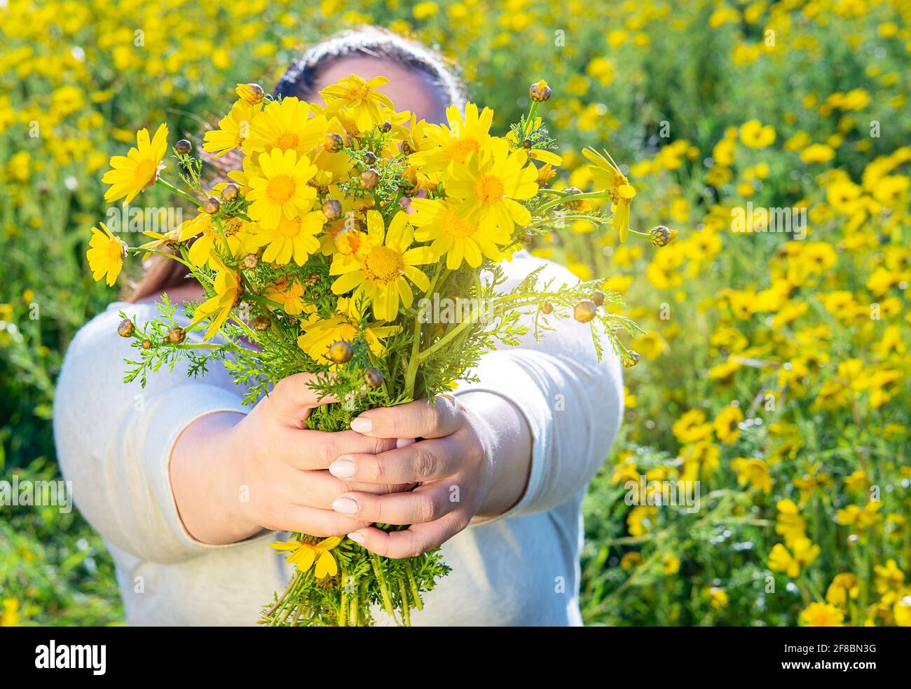 Eine dicke Frau bietet einen Strauß gelber Blumen an Ein Feld von Gänseblümchen Stockfoto
