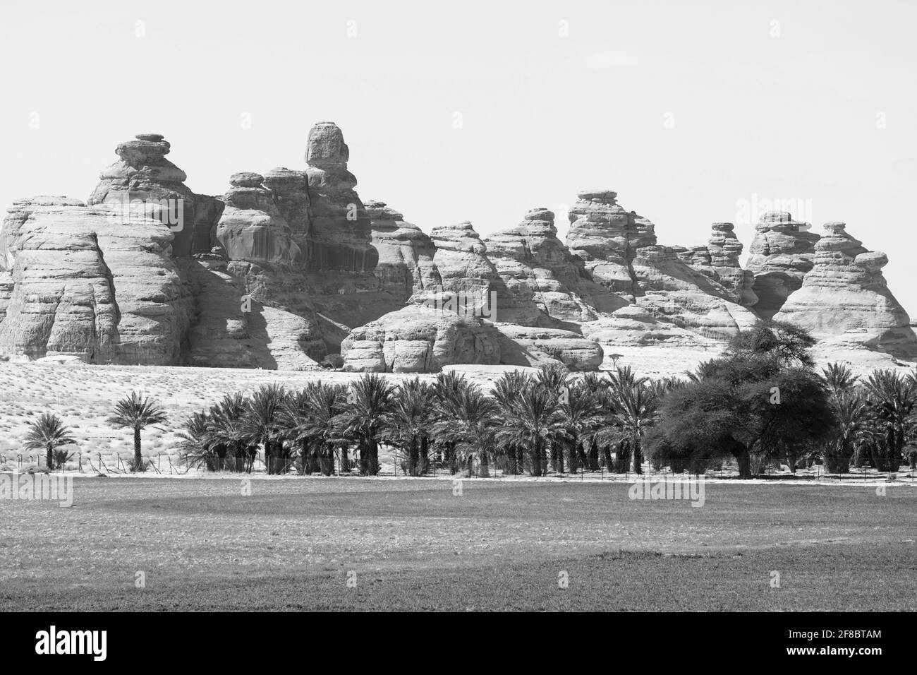 Landschaft in der Nähe von Al Ula, Saudi-Arabien mit Dattelpalmen Stockfoto