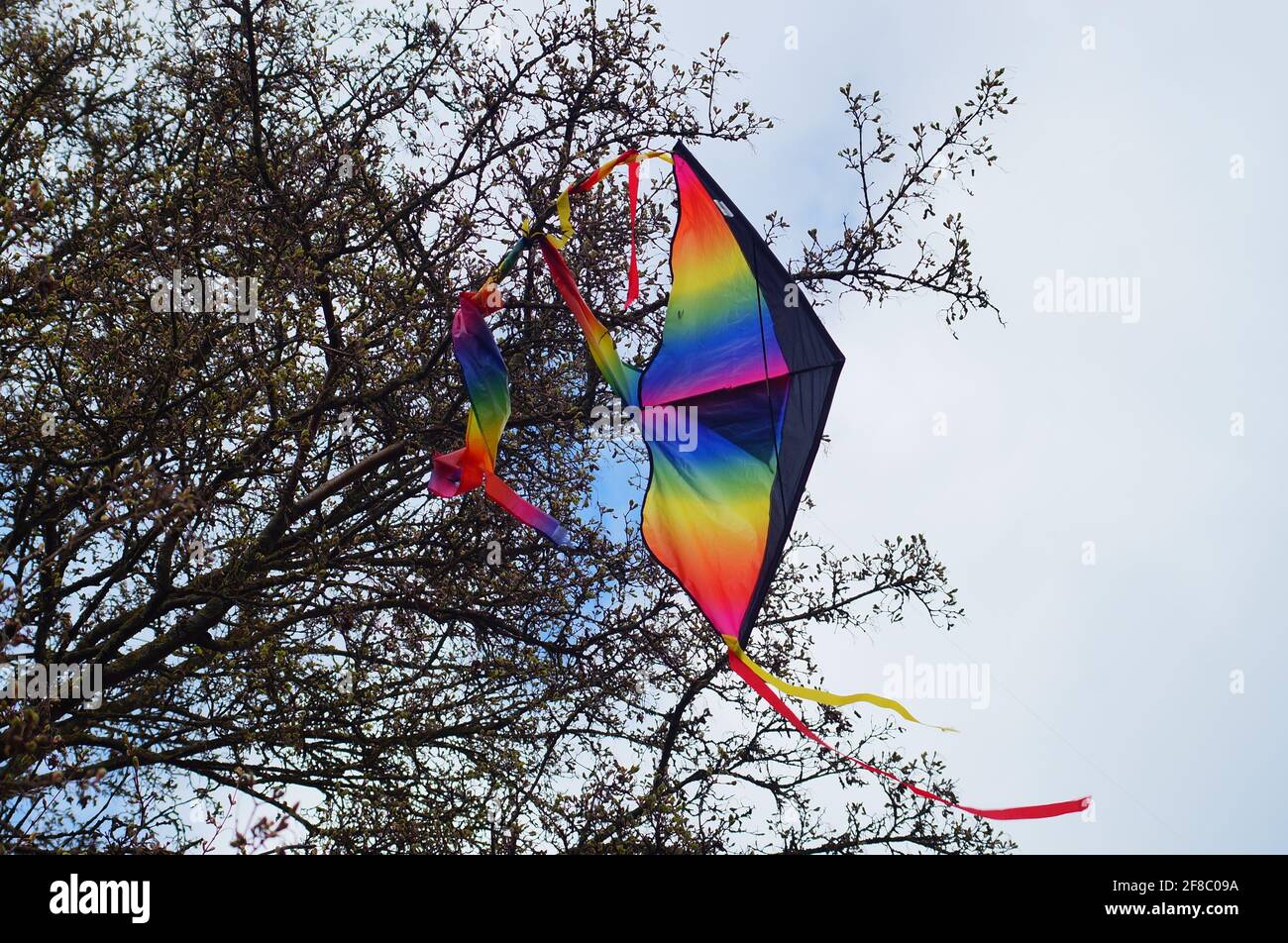 Einen Drachen in einem Baum gefangen Stockfoto