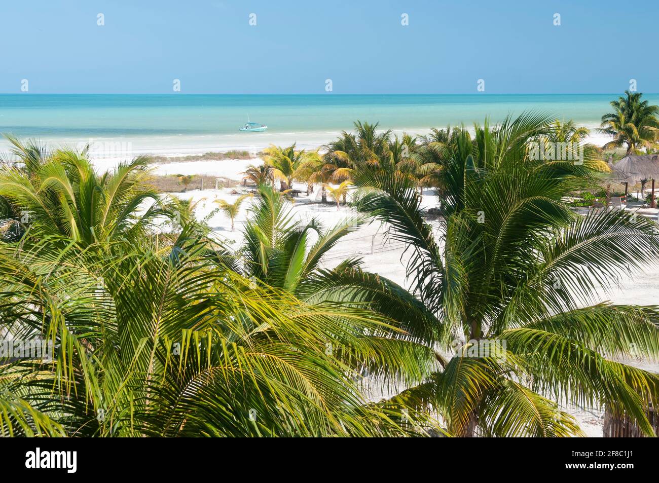 Ein karibischer Strand auf Holbox Island in Mexiko mit Kokospalmen, weißem Sand und einem Boot am Strand. Konzept Reise Urlaub Stockfoto