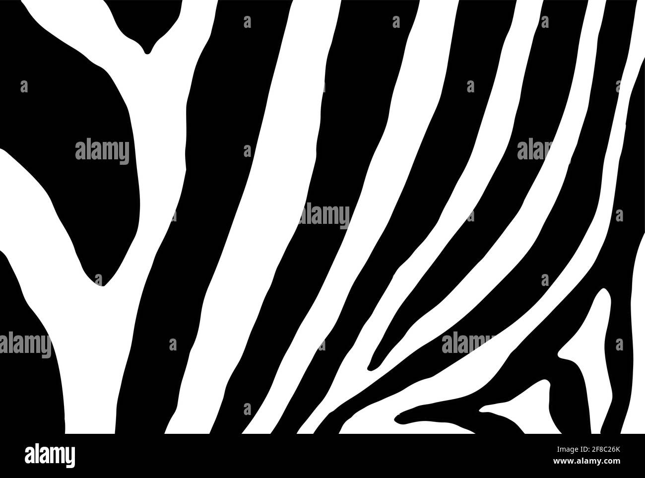 Zebra-Hauttexturmuster, nahtloser Vektorhintergrund, handgezeichnete Illustration Stock Vektor