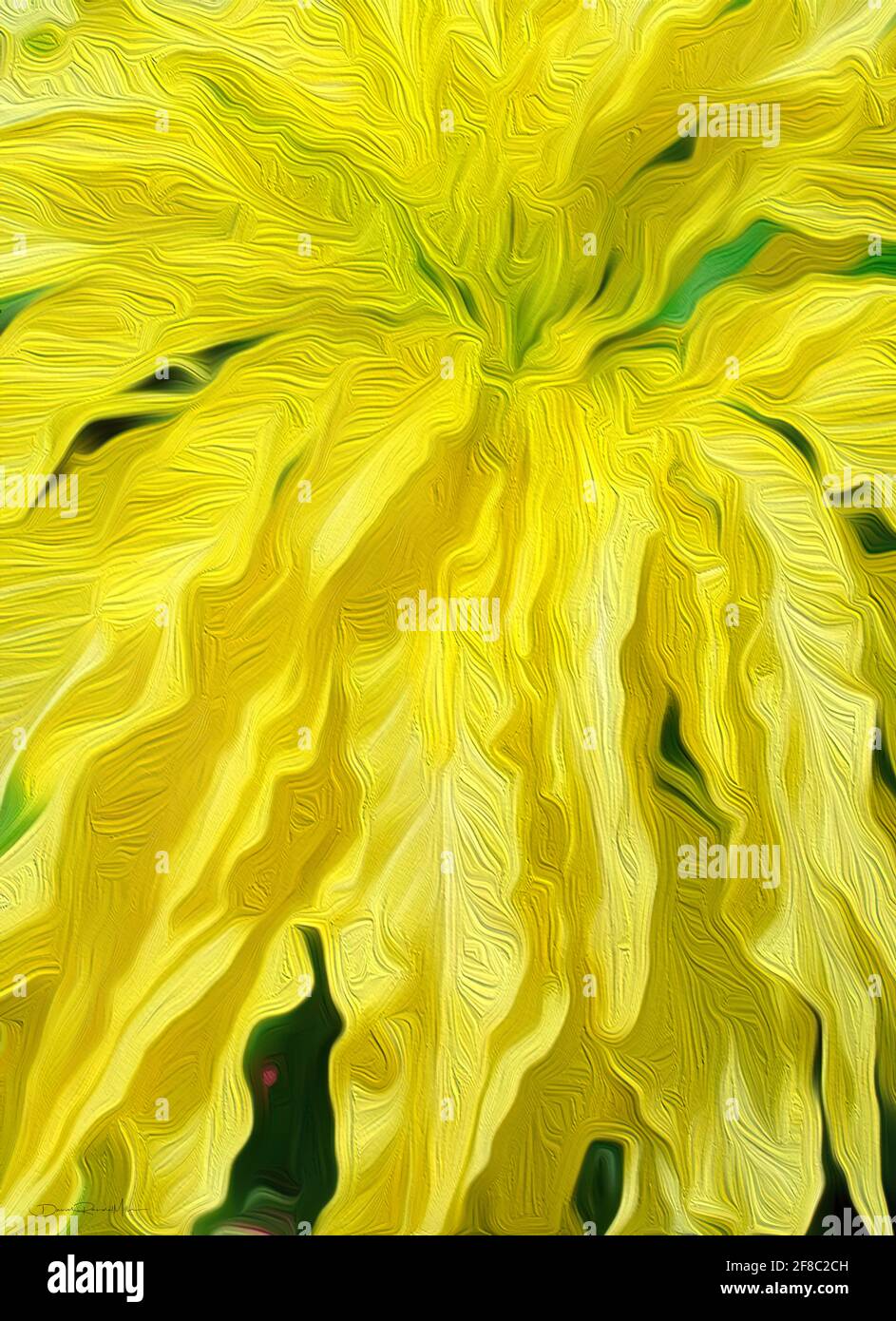 Dies ist ein schönes, hochwertiges Kunstwerk eines Details aus einer großen gelben amaranthus-Pflanze. Es misst 26.92 Zoll x 37.08 Zoll Das große, hängende pe Stockfoto