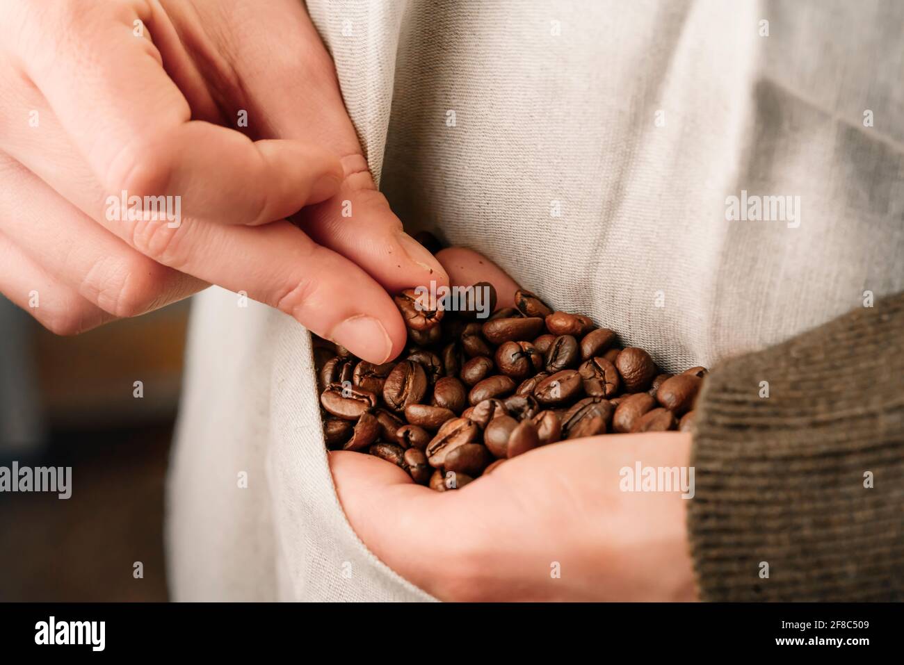 Hand, die eine Kaffeebohne in den Fingern zeigt Stockfoto