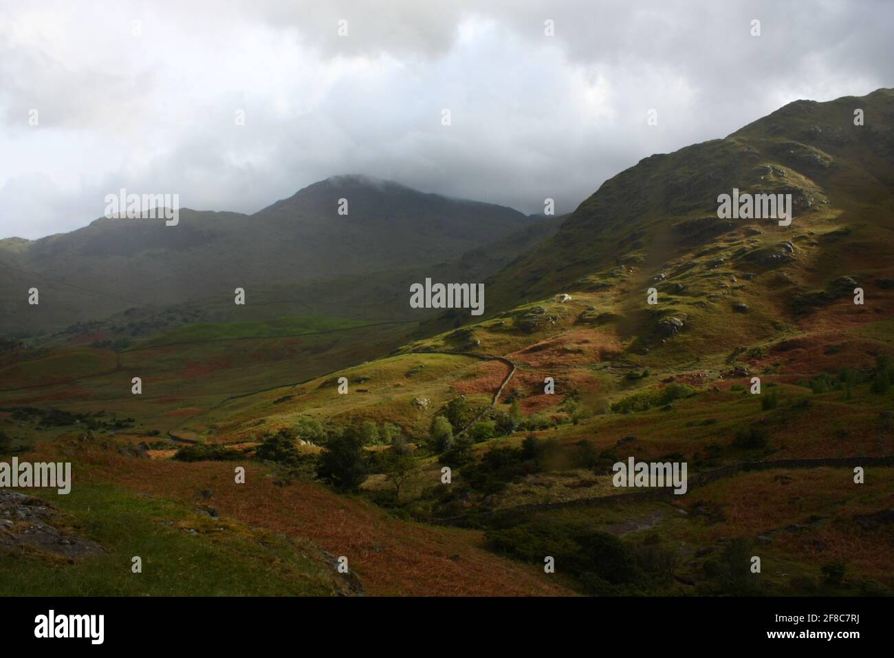 Light on Hill after Rain in Langdales, Lake District, England Stockfoto