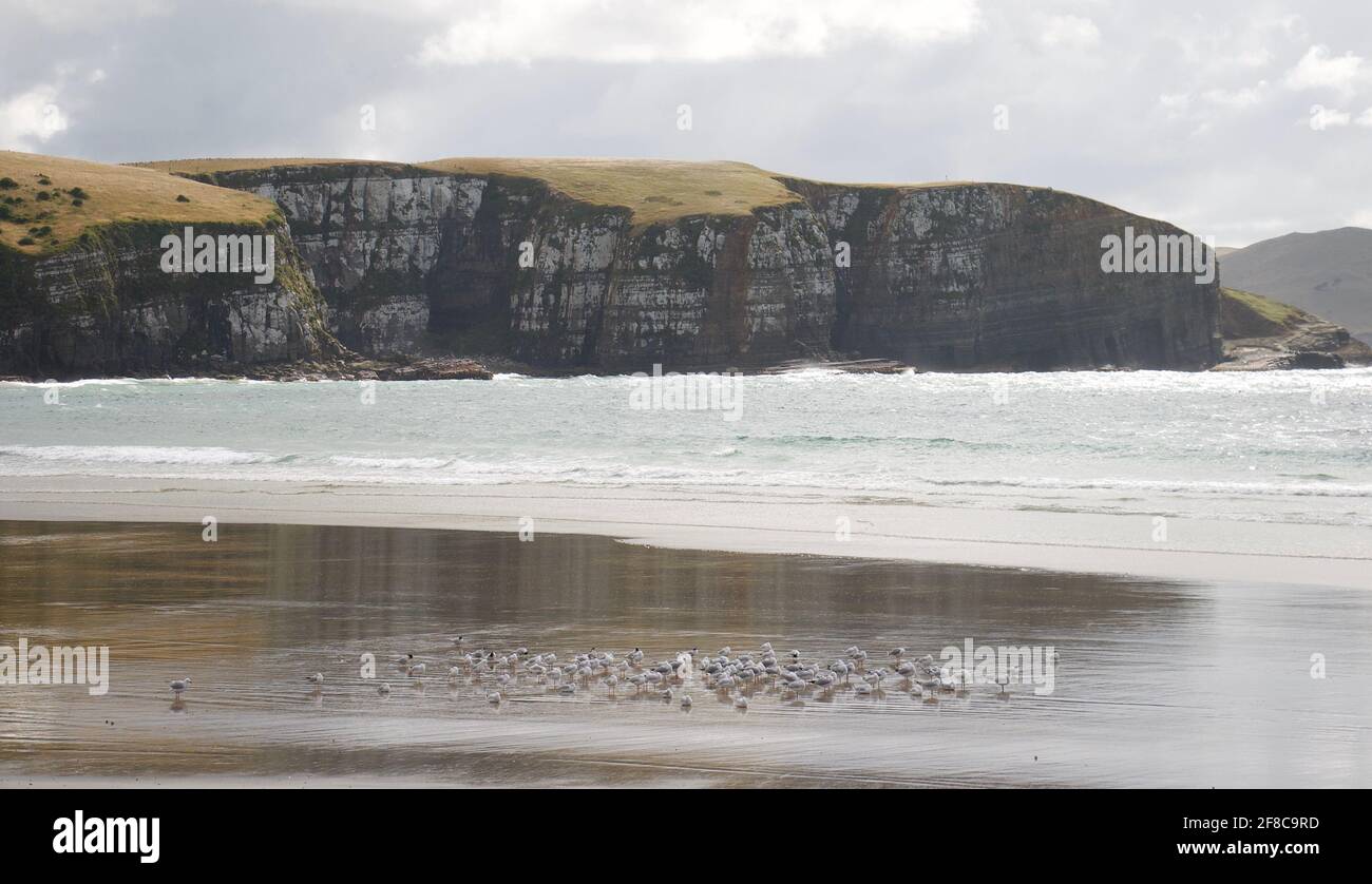 Catlins Kalksteinfelsen spiegeln sich am Strand Stockfoto