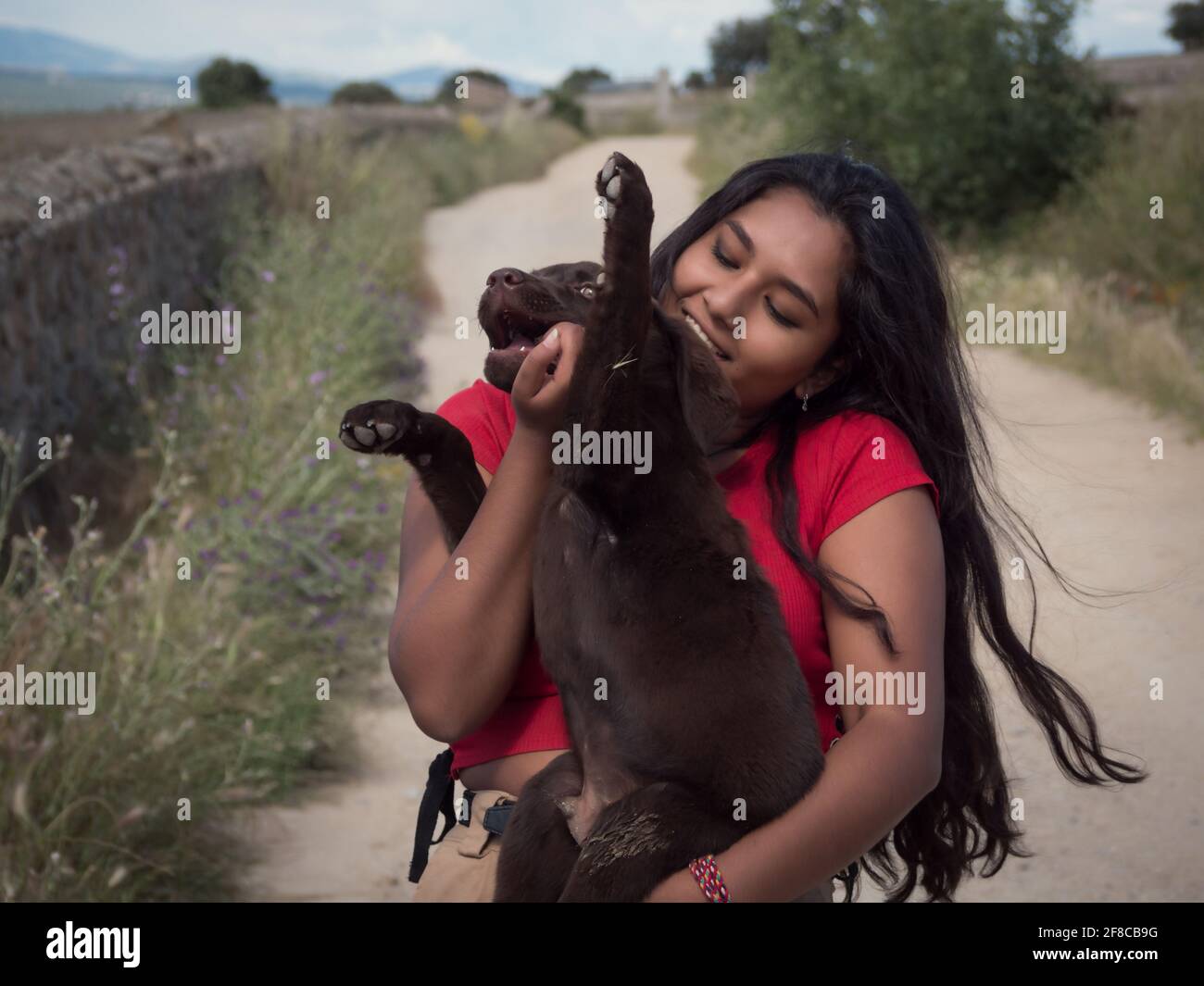 Asiatischer Teenager, der mit einem drei Monate alten Schokoladenretriever-Welpe auf einem Feldweg auf dem Land spielt. Stockfoto