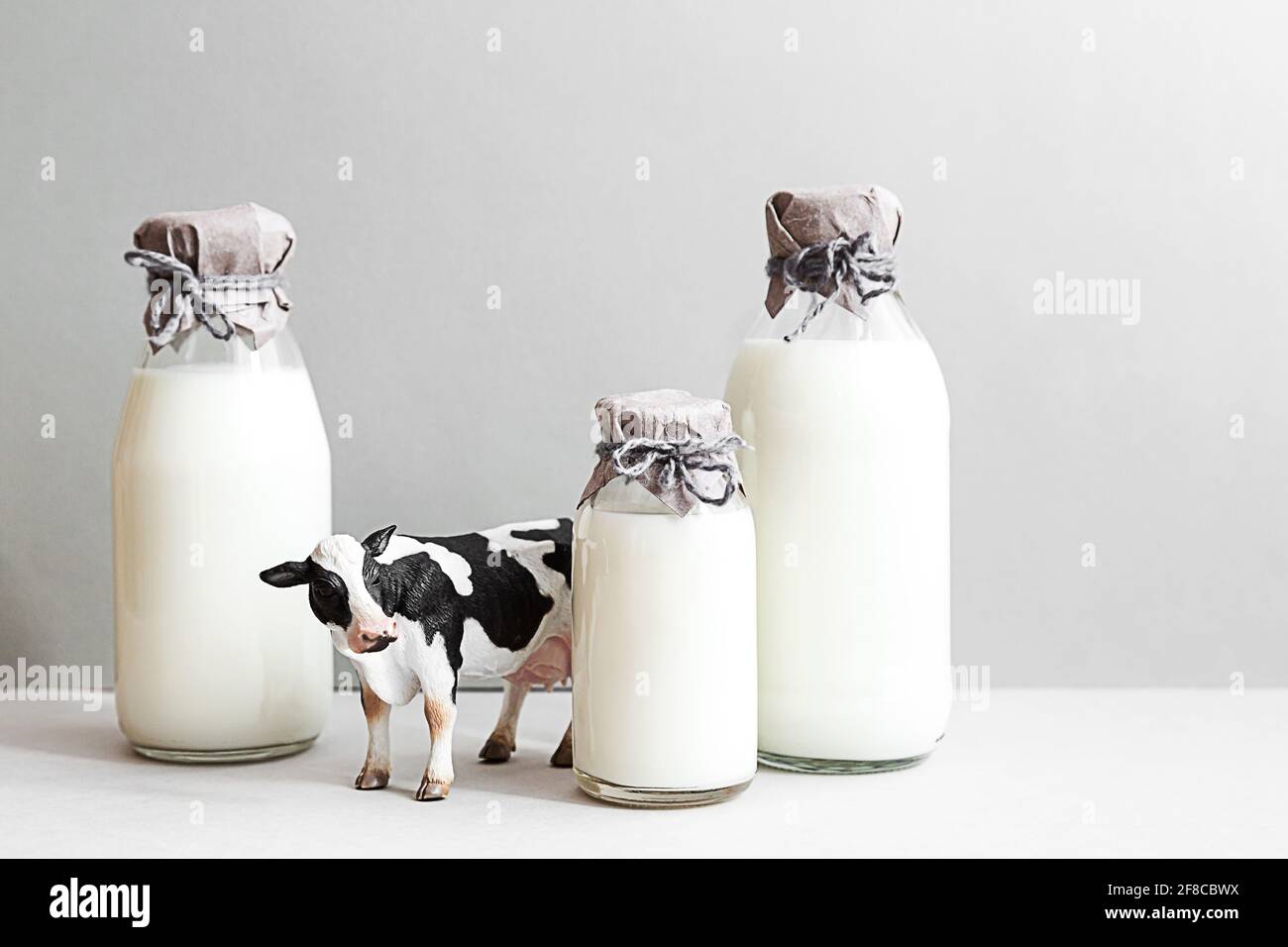 Flaschen frischer Milch, eine Figur einer Kuh und ein Glas Milch auf hellgrauem Hintergrund. Minimalistisches Stillleben von Milch, Kopierraum. Stockfoto
