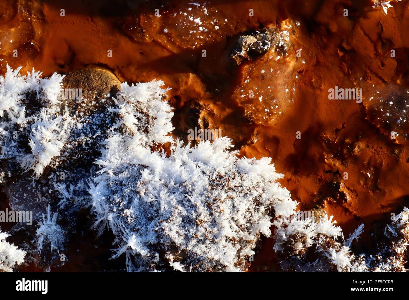 Die kreative Eleganz der Natur: Eisskulpturen, Eisblumen und Reifrost, kombiniert mit dem klaren Wasser und den eisenroten Felsen des Yukon River. Stockfoto