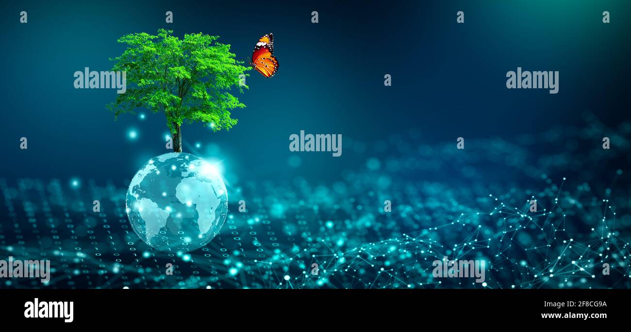 Baum mit Schmetterling wächst auf Kristallkugel. Digitale Konvergenz und technologische Konvergenz. Blaues Licht, binärer Hintergrund und Netzwerkhintergrund. Green Com Stockfoto