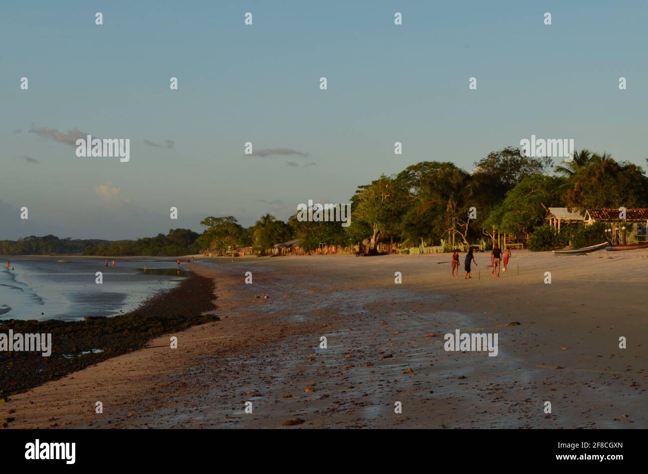 Caripi Beach, Amazonasgebiet von Barcarena, Bundesstaat Pará, Brasilien. Stockfoto