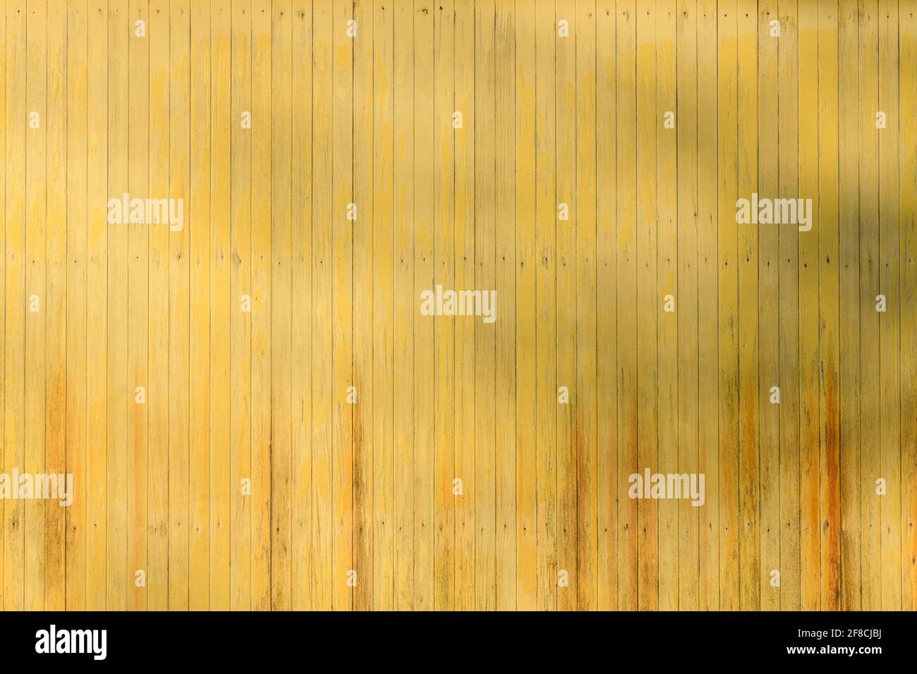 Mit gelber Farbe lackierte Holzbretter verblassen, um eine orangefarbene Glätterschicht zu offenbaren. Nagellöcher sind in drei Reihen sichtbar und ein Baum wirft Schatten Stockfoto