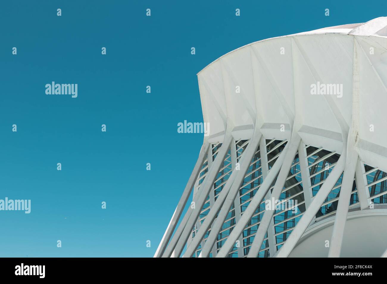 Architektonische Details über das Museo de las Ciencias Príncipe-Aipelta in der Stadt der Künste und Wissenschaften, Valencia, Spanien. Stockfoto Architektonische Details über das Museo de las Ciencias Príncipe-Aipelta in der Stadt der Künste und Wissenschaften, Valencia, Spanien. Stockfoto