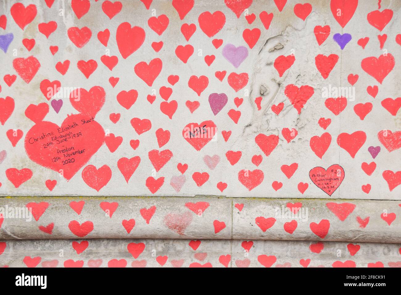 London, Großbritannien. April 2021. Rote Herzen an der National Covid Memorial Wall vor dem St. Thomas' Hospital. 150,000 rote Herzen wurden von Freiwilligen und Mitgliedern der Öffentlichkeit gemalt, eines für jedes Leben, das Covid in Großbritannien bis heute verloren hat. Stockfoto