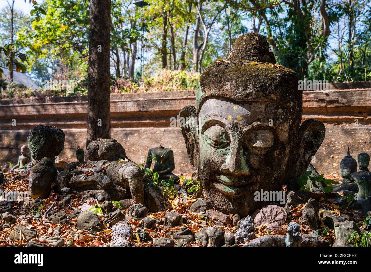 Kopf einer Buddha-Statue im Tempel von Umong In Chiang Mai Stockfoto