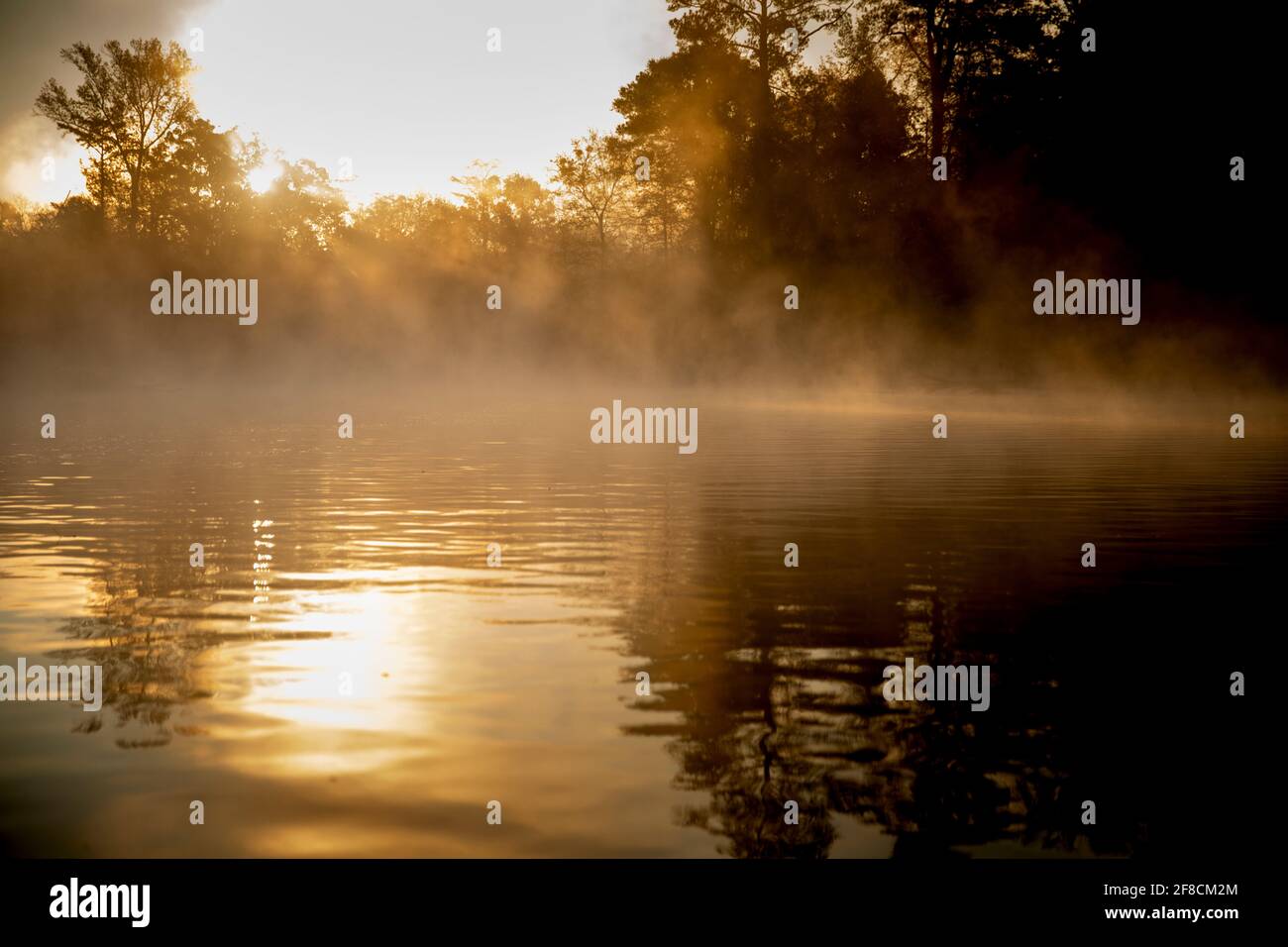 Kanufahrt bei Sonnenaufgang auf einem nebligen Fluss. Stockfoto