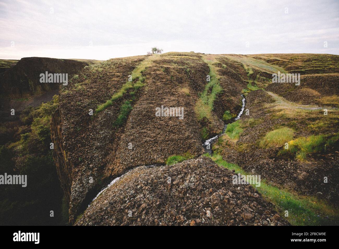 Der ferne Wasserfall stürzt in den Canyon mit Basaltfelsen und Gras Stockfoto