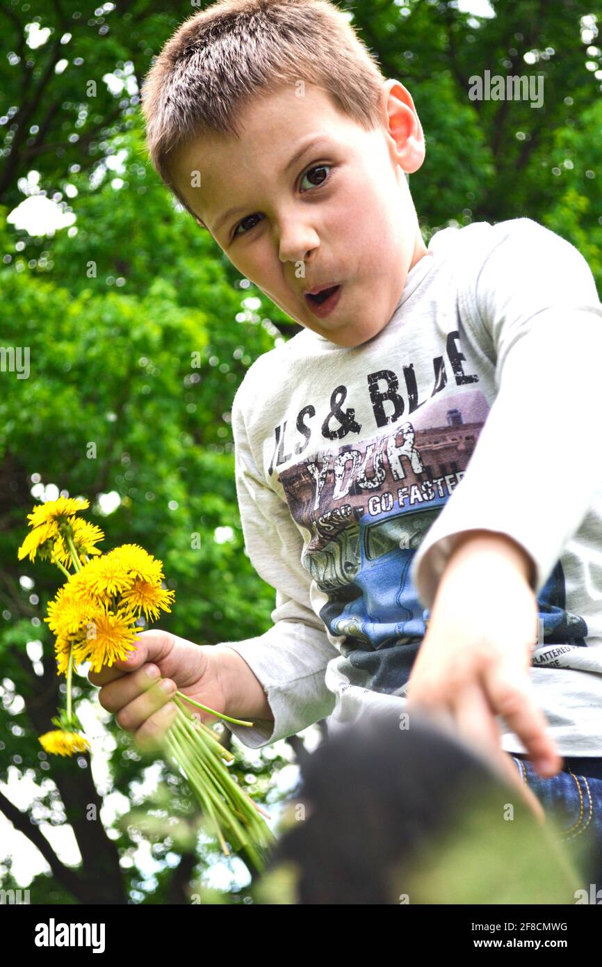 Junge macht lustige Gesicht beim Gehen im Park Stockfoto