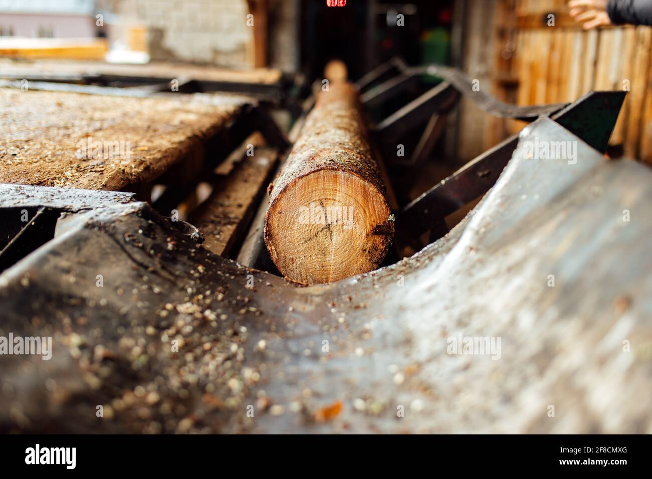 Ein Log auf einem Förderband. Transport von Holzrohstoffen in der Anlage. Holzbearbeitung auf einem Sägewerk. Automatisierter Förderer Stockfoto