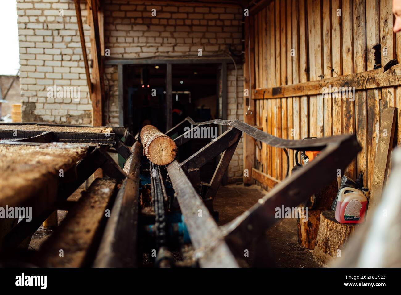 Ein Log auf einem Förderband. Transport von Holzrohstoffen in der Anlage. Holzbearbeitung auf einem Sägewerk. Automatisierter Förderer Stockfoto