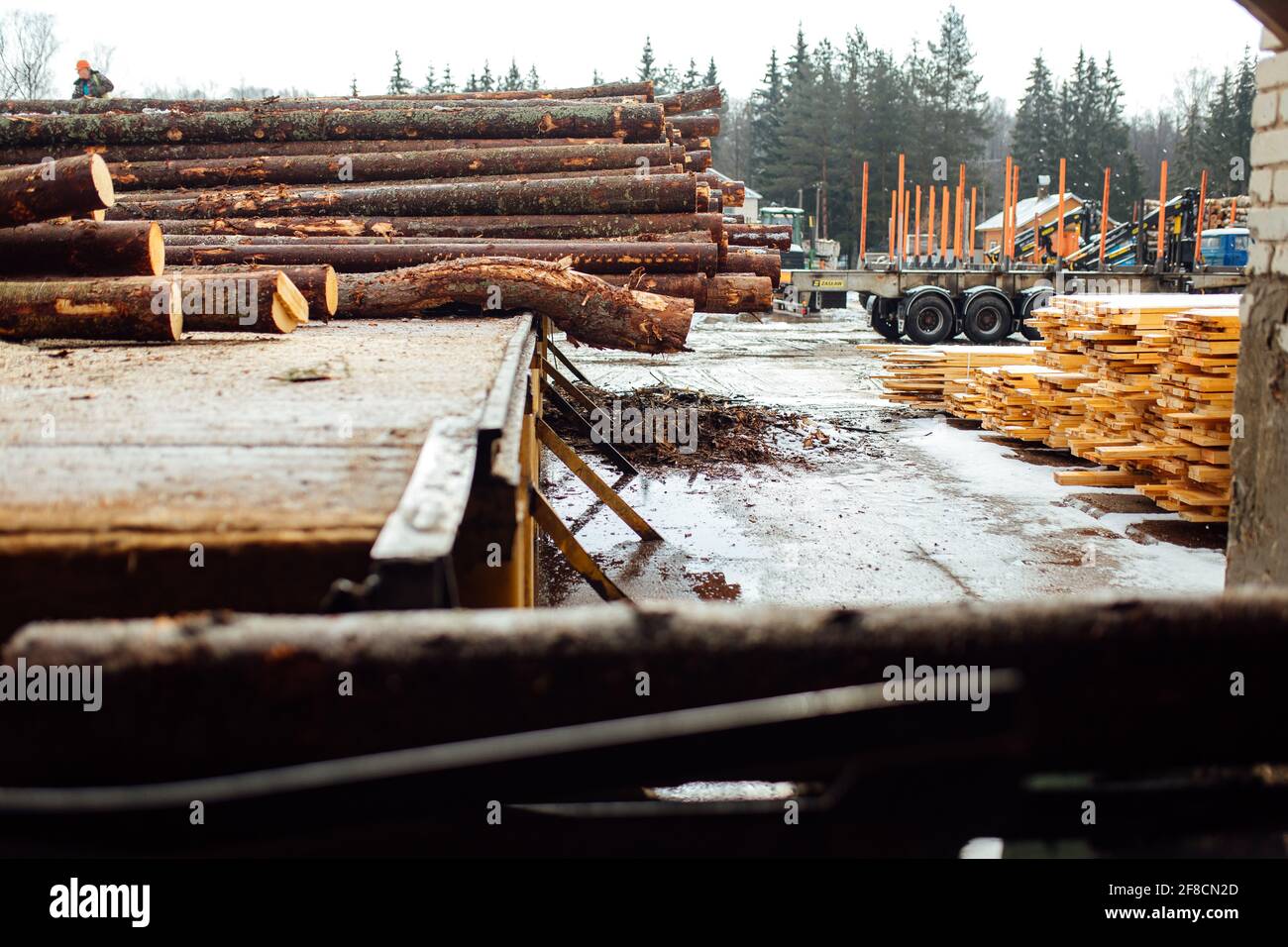 Ein Log auf einem Förderband. Transport von Holzrohstoffen in der Anlage. Holzbearbeitung auf einem Sägewerk. Automatisierter Förderer Stockfoto