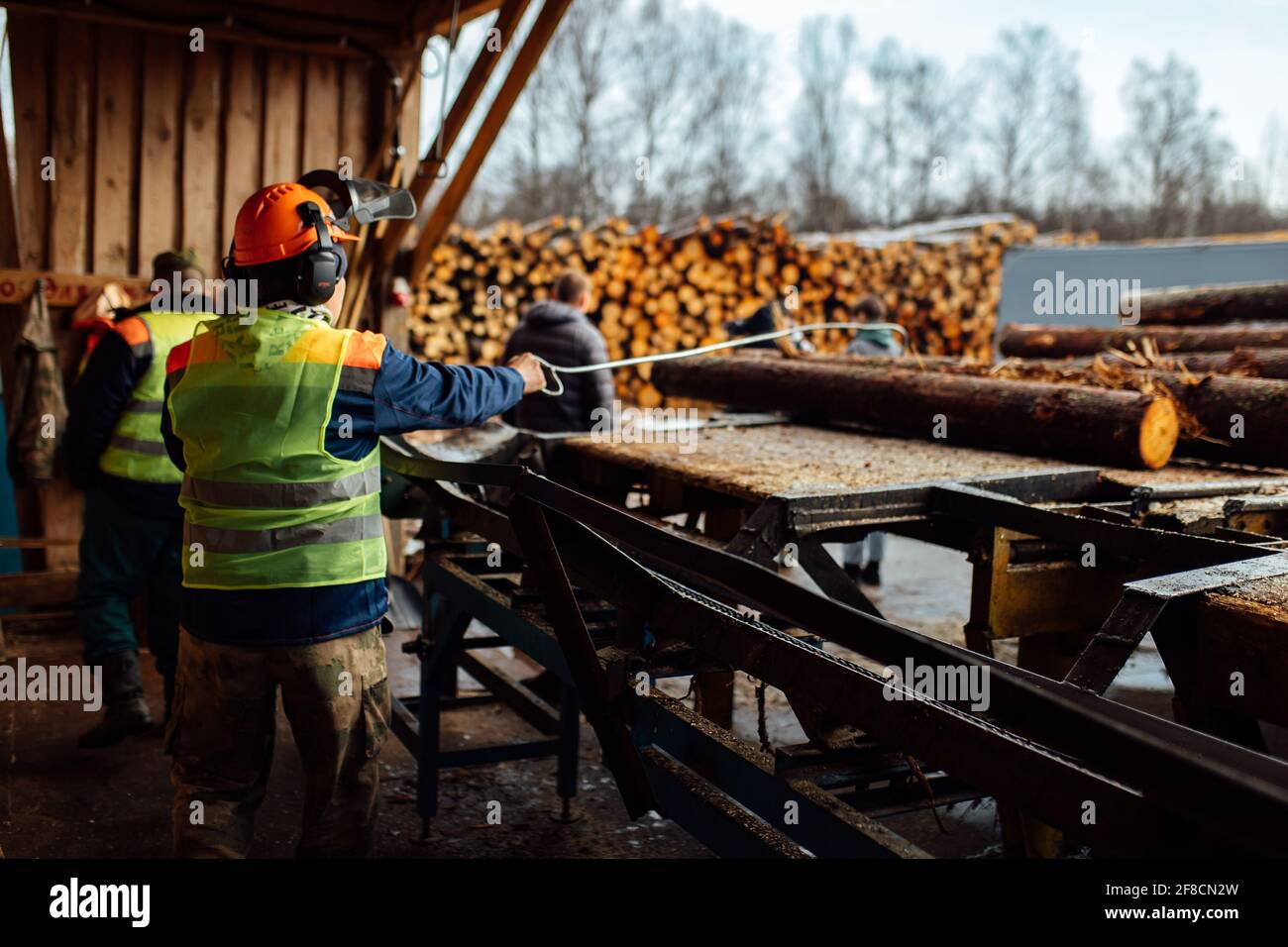 Ein Log auf einem Förderband. Transport von Holzrohstoffen in der Anlage. Holzbearbeitung auf einem Sägewerk. Automatisierter Förderer Stockfoto