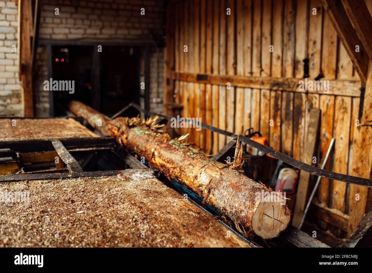 Ein Log auf einem Förderband. Transport von Holzrohstoffen in der Anlage. Holzbearbeitung auf einem Sägewerk. Automatisierter Förderer Stockfoto