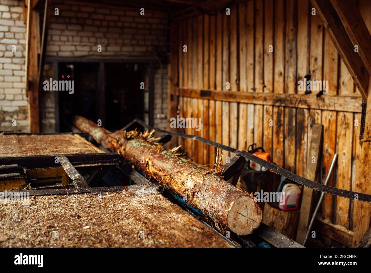 Ein Log auf einem Förderband. Transport von Holzrohstoffen in der Anlage. Holzbearbeitung auf einem Sägewerk. Automatisierter Förderer Stockfoto
