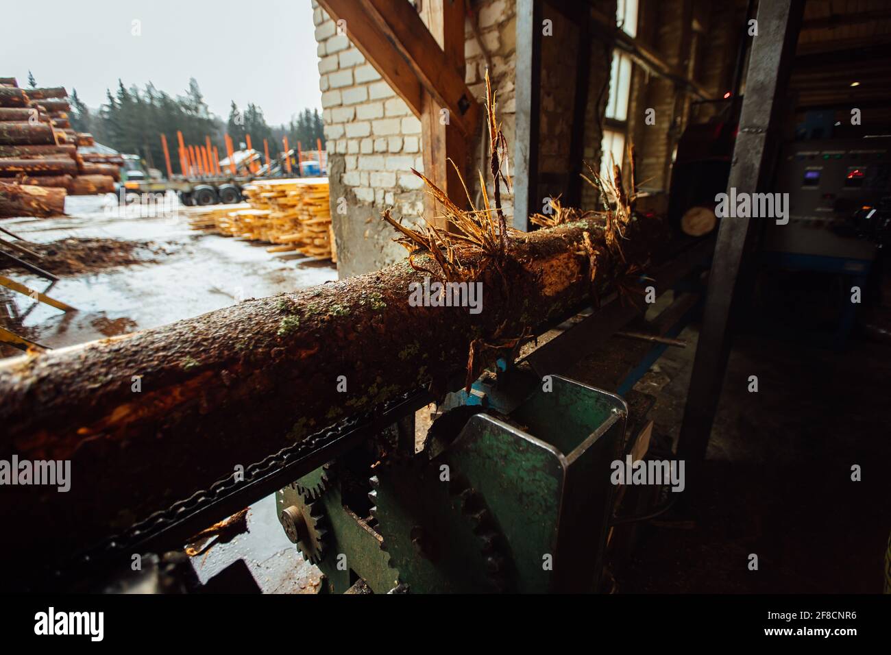 Ein Log auf einem Förderband. Transport von Holzrohstoffen in der Anlage. Holzbearbeitung auf einem Sägewerk. Automatisierter Förderer Stockfoto