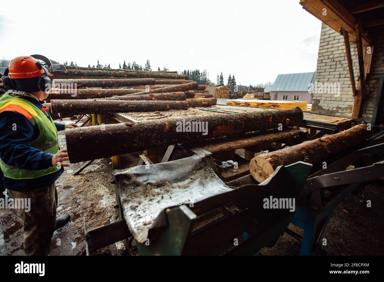 Ein Log auf einem Förderband. Transport von Holzrohstoffen in der Anlage. Holzbearbeitung auf einem Sägewerk. Automatisierter Förderer Stockfoto