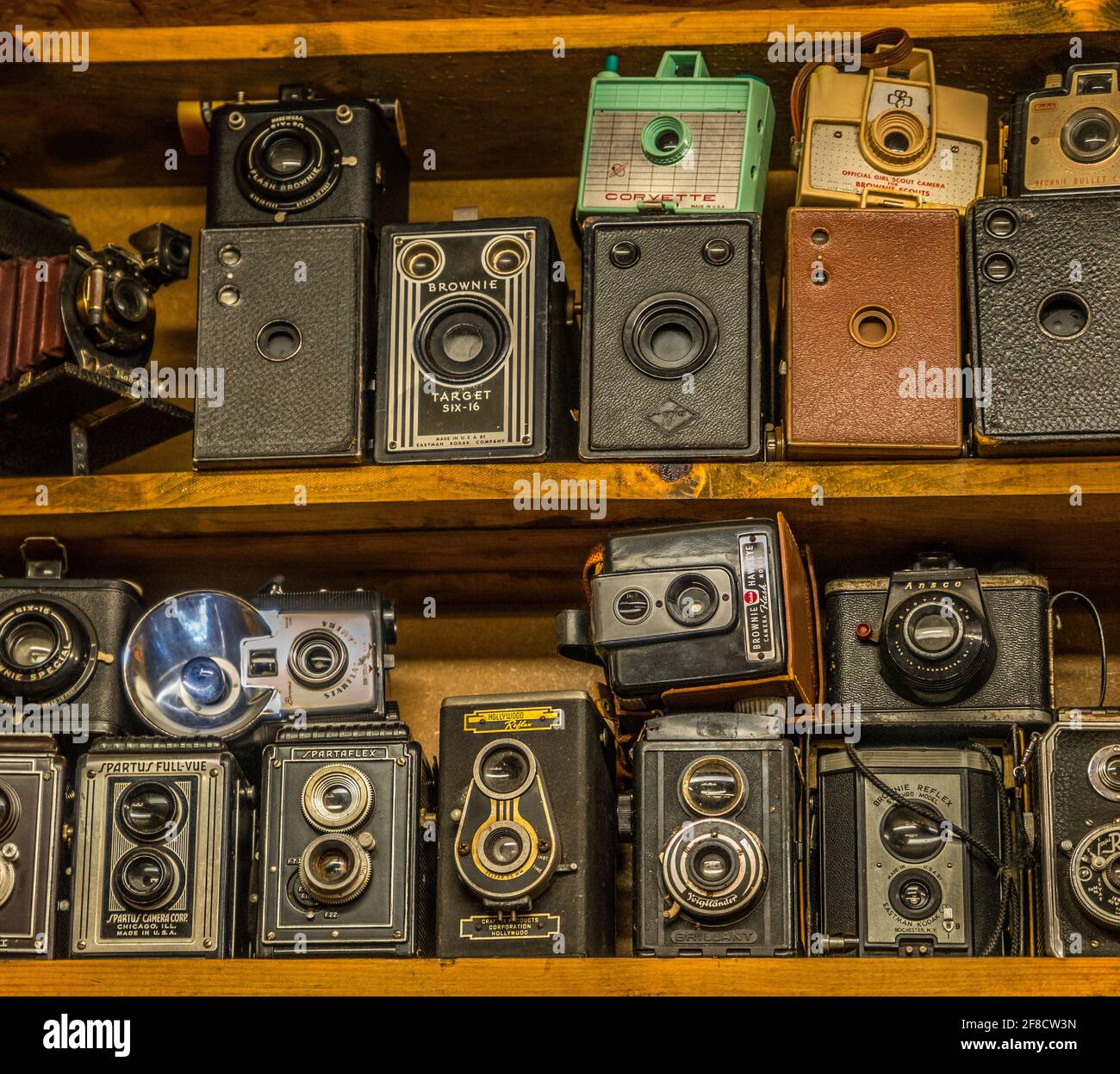 Eine Sammlung von alten antiken Filmkameras von verschiedenen Die Arten auf dem Regal auf dem Display innen Stockfoto