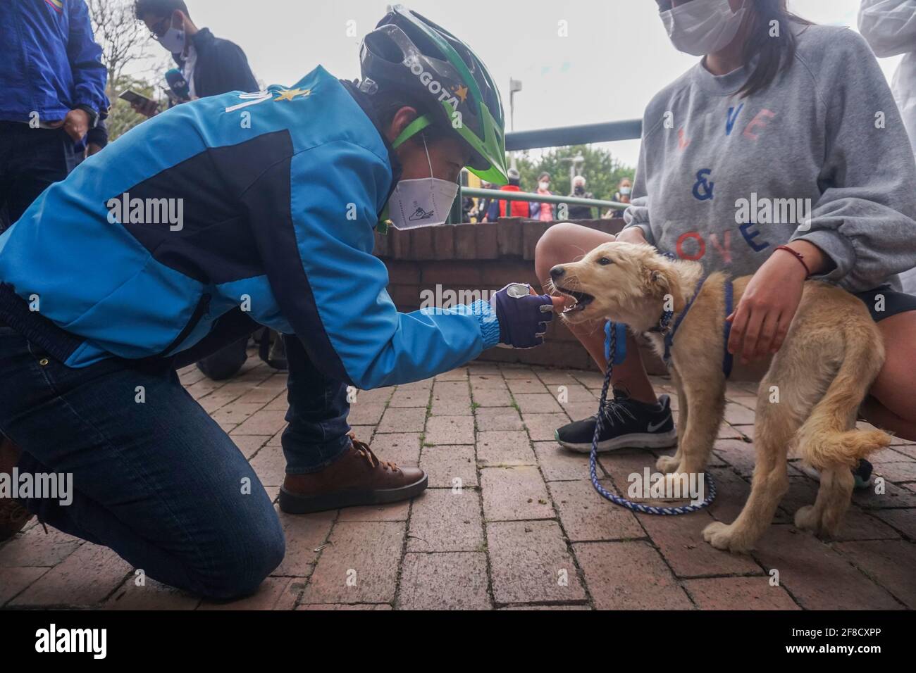 Die Bürgermeisterin von Bogota, Claudia Lopez, mit einem Haustier mitten in der Quarantäne, die an diesem Wochenende von Samstag bis Dienstag aufgrund der Zunahme der COV beschlossen wurde Stockfoto