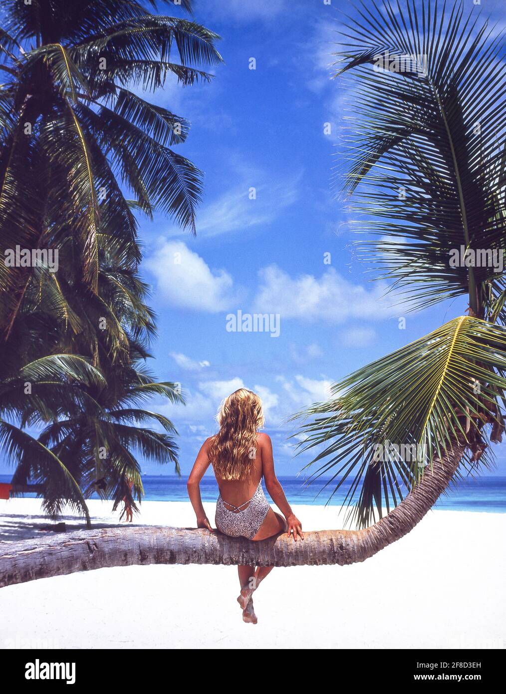 Junge Frau sitzt auf Palme, Kuda Bandos, Republik Malediven, Kaafu Atoll, Bandos Island Stockfoto