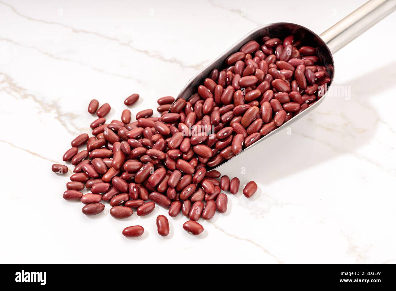 Ungekochte rote Bohnen auf Metalllöffel auf weißem Marmortisch. Phaseolus vulgaris Stockfoto