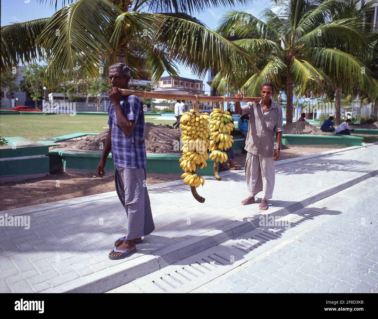Männer, die Bananenbündel auf der Stange tragen, Malé, Nord-Malé-Atoll, Republik Malediven Stockfoto