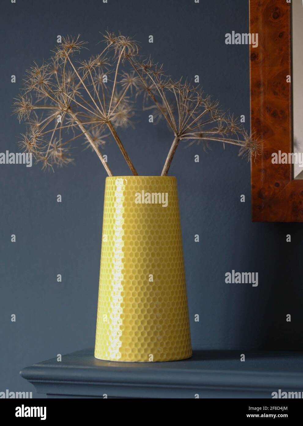 Gelbe Vase getrocknete Blumen blaue Wand Blumenarrangement Stockfoto