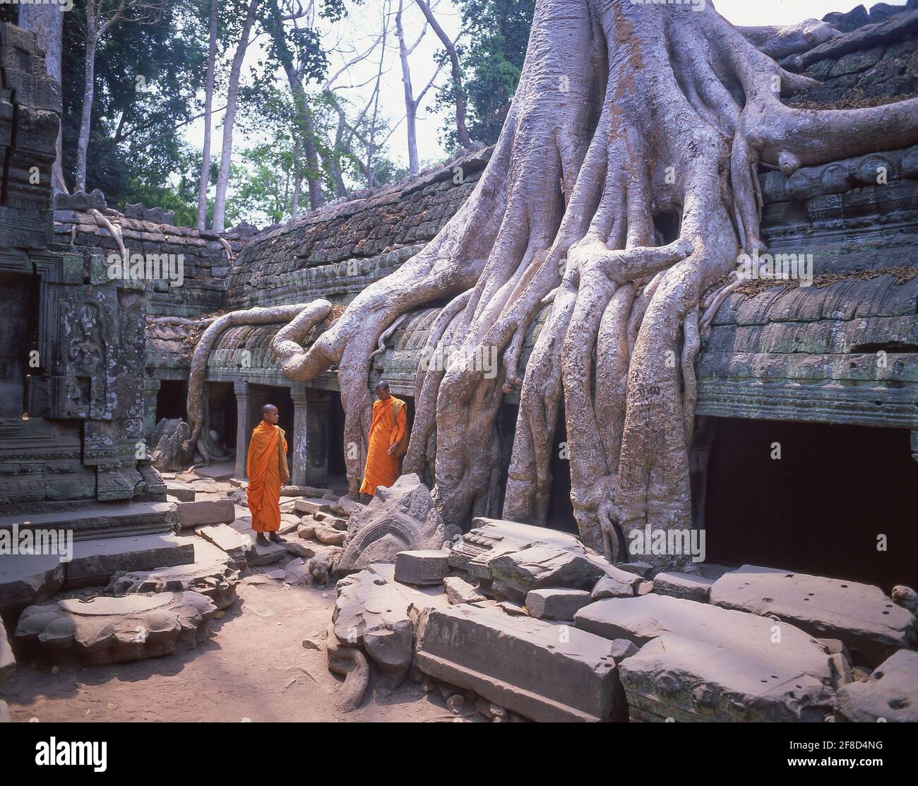 Mönche, die an den spung Baumwurzeln stehen, Ta Prohm, Siem Reap, Königreich Kambodscha Stockfoto