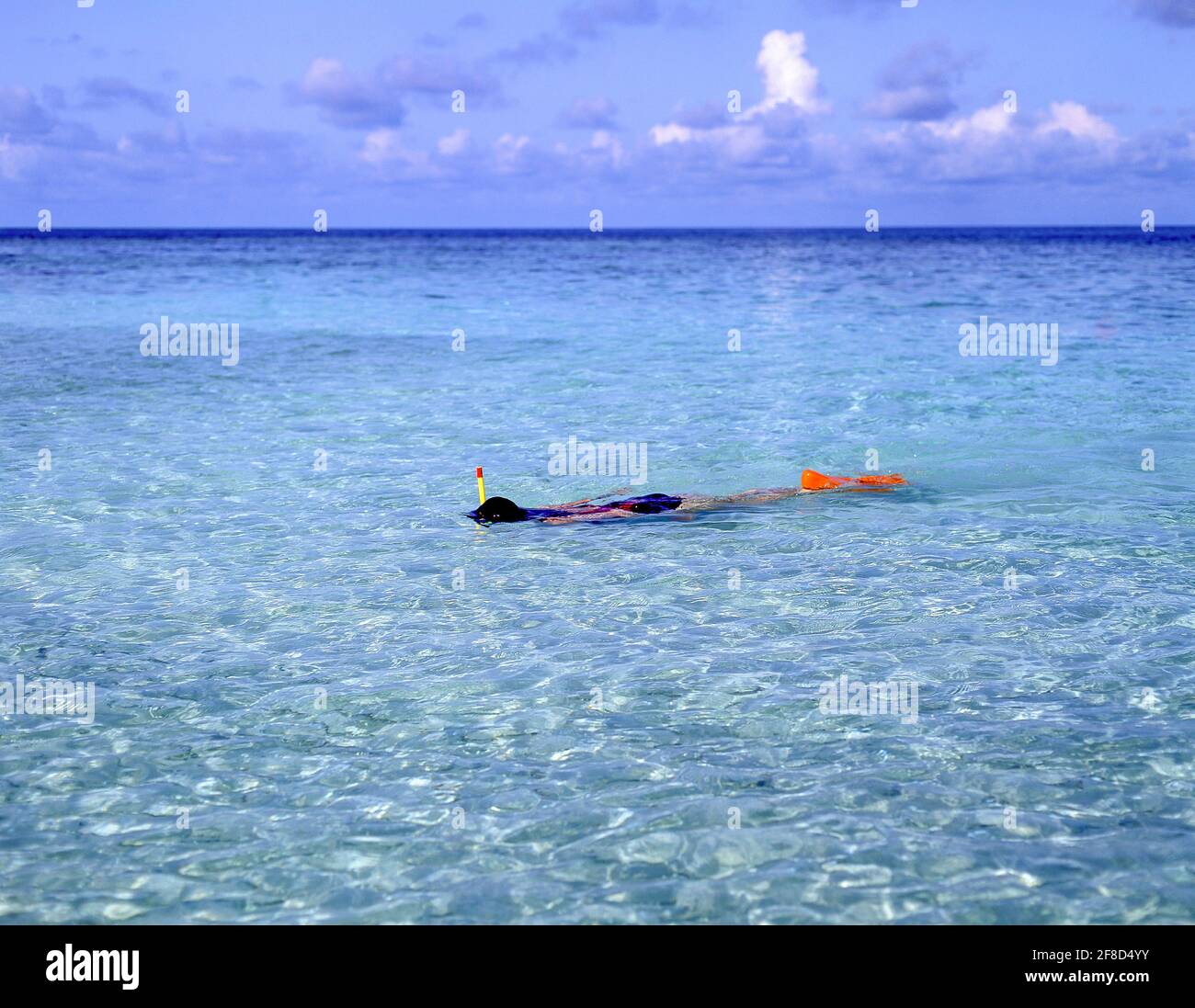 Junge Frau schnorchelt im Meer, Kuda Bandos, Kaafu Atoll, Republik Malediven Stockfoto