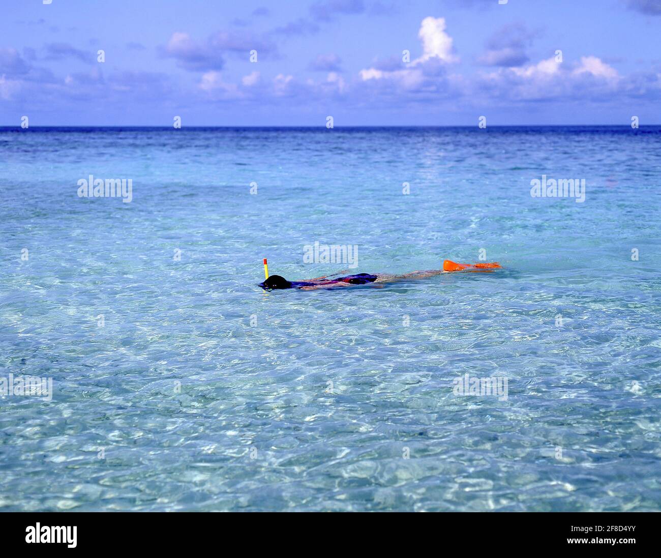 Junge Frau schnorchelt im Meer, Kuda Bandos, Kaafu Atoll, Republik Malediven Stockfoto