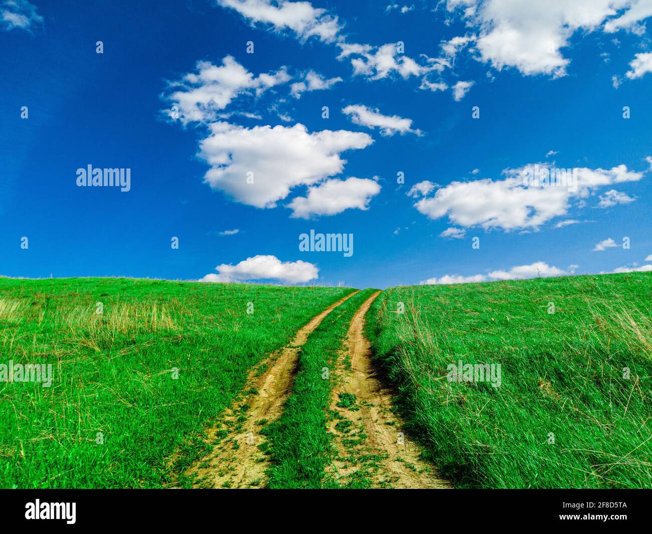 Straße im grünen Feld und blauen Himmel mit Wolken Stockfoto