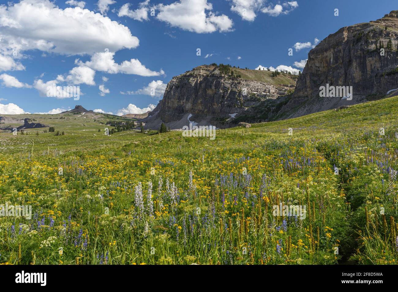 South Teton Shelf Trail in der Nähe des Mount Meek Passes. Grand Teton National Park, Wyoming Stockfoto