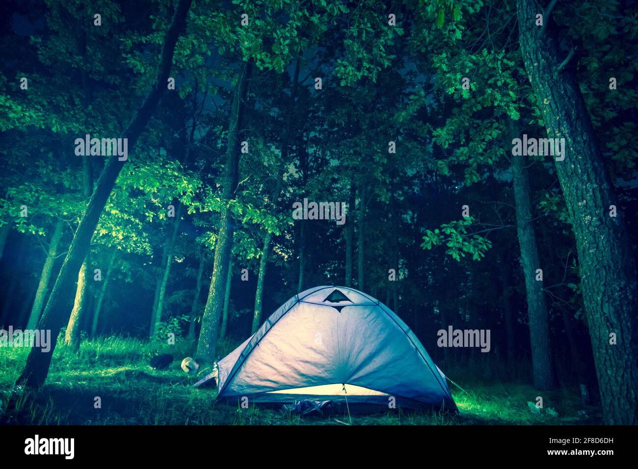 Nachtcamping im Blattwald allein Stockfoto