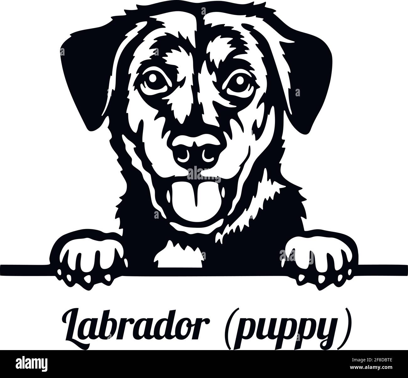 Labrador Welpe Peeking Dog - Kopf isoliert auf weiß Stock Vektor