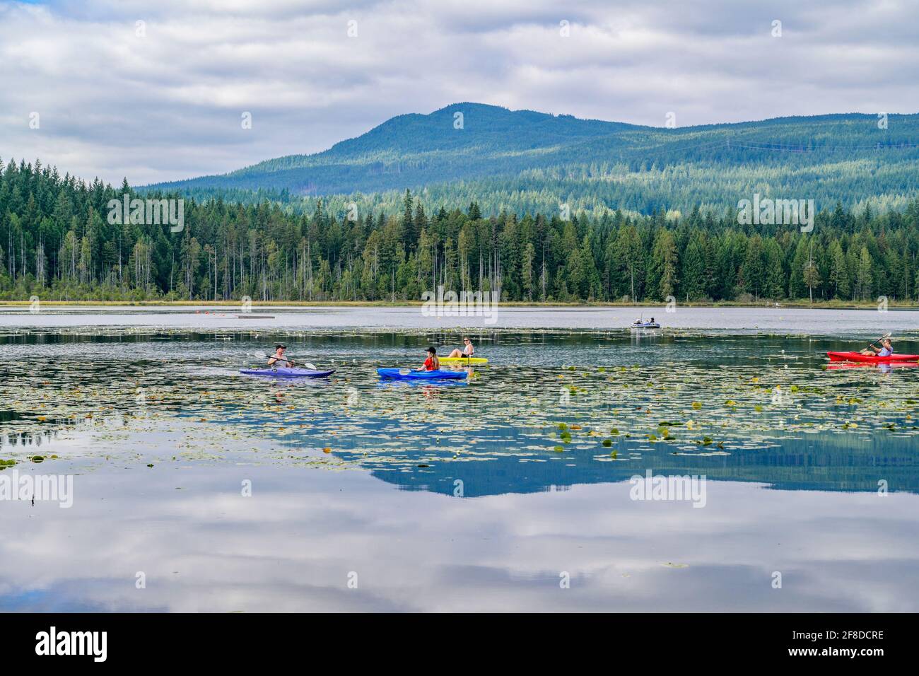 Whonnock Lake, Maple Ridge, British Columbia, Kanada Stockfoto